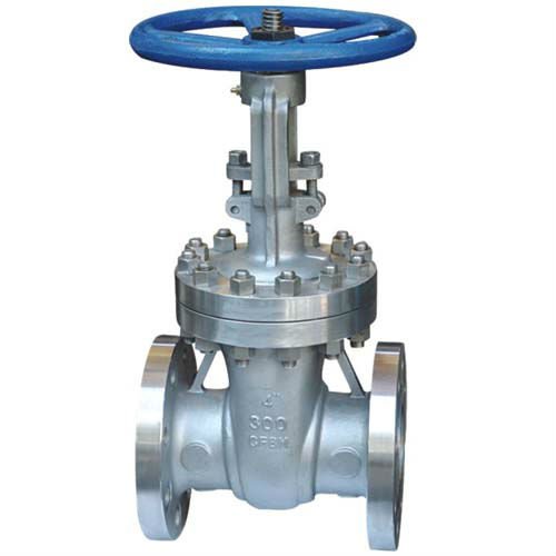 Flanged Stainless Steel Gate Valve